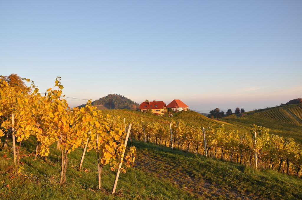 Weingut Koegl Acomodação com café da manhã Ratsch an der Weinstraße Exterior foto